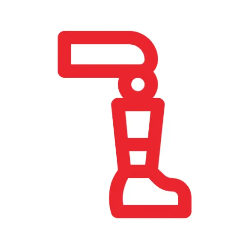 ACL Avulsion Fixation