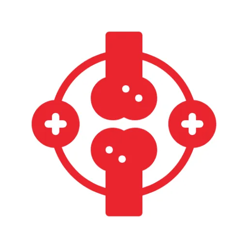 Stem cell cartilage transplant