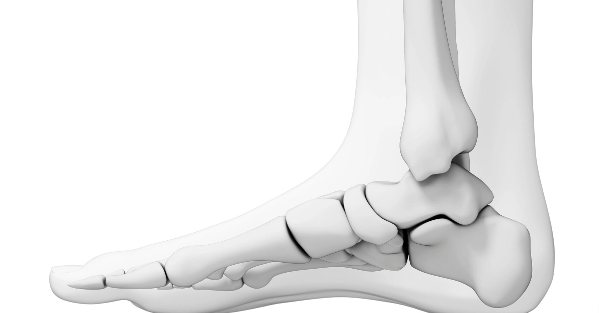 Ankle & Small Joint Replacements